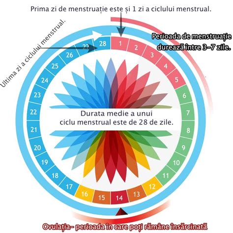 De ce întârzie menstruația (Ciclu Menstrual): Cauze, Simptome și ...